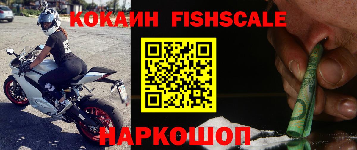 КОКАИН Fish Scale Великий Устюг