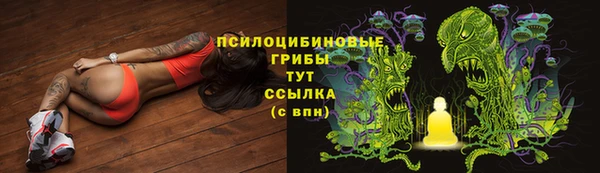 ешки Беломорск