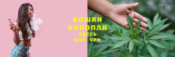 молекула духа Белокуриха