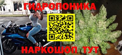 jwh Апшеронск