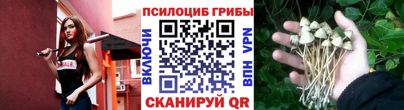 Галлюциногенные грибы MAGIC MUSHROOMS  Великий Устюг 