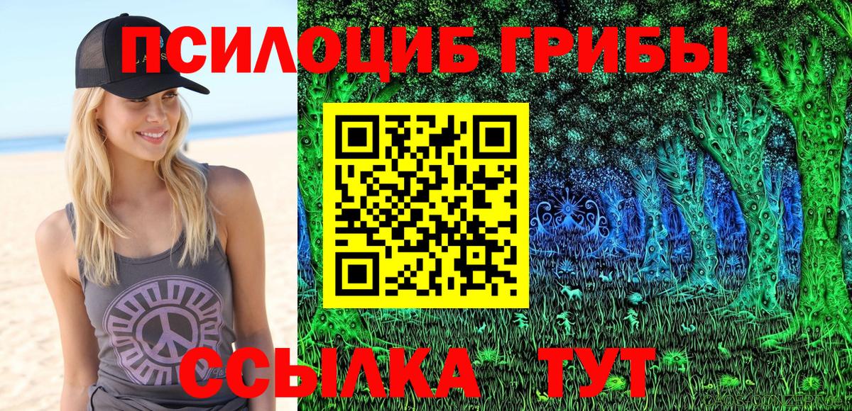 Галлюциногенные грибы Psilocybe  Вход с VPN  Великий Устюг 